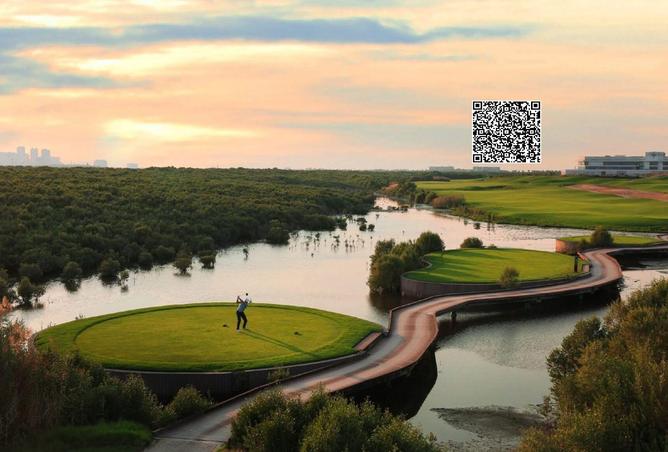 16083583 - صورة العقار 2