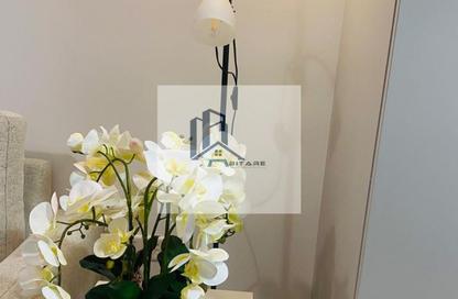 Apartment - 2 - 1 for rent in The Nook 1 - The Nook - Wasl Gate - Dubai Apartment - 2 - 1 for rent in The Nook 1 - The Nook - Wasl Gate - Dubai