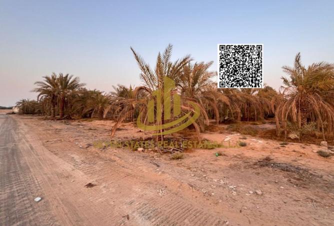 16094049 - Property Image 2