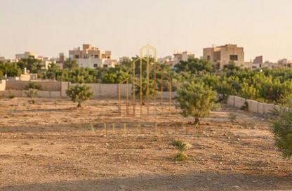 Land - Studio for sale in Al Zubair - Sharjah