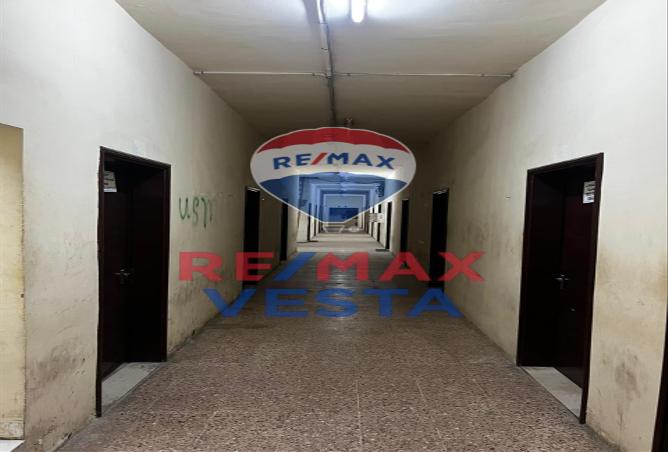 16071281 - Property Image 3