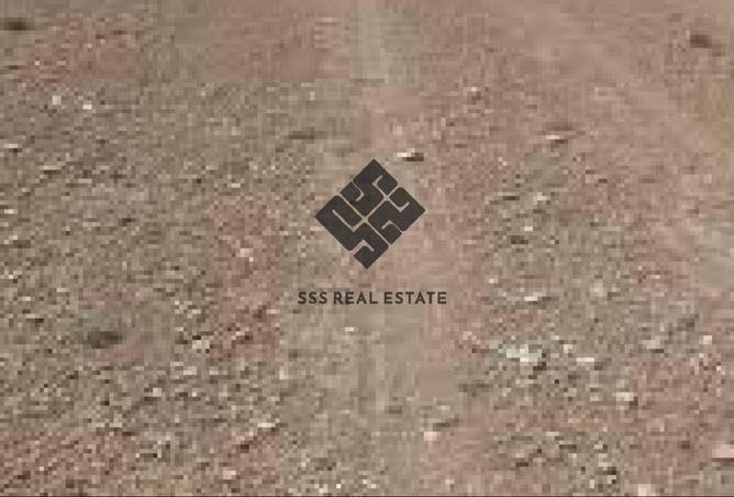 58571152 - Property Image 3