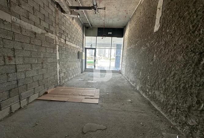 113701169 - Property Image 3