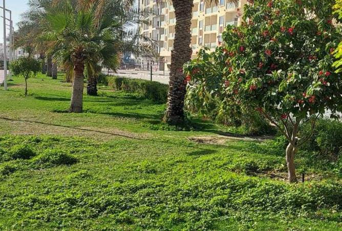 87464217 - صورة العقار 2