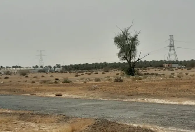 154166939 - صورة العقار 2