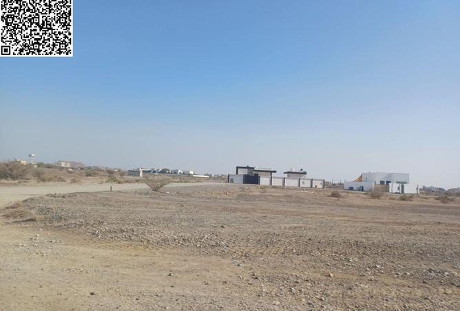 16224511 - Property Image 3