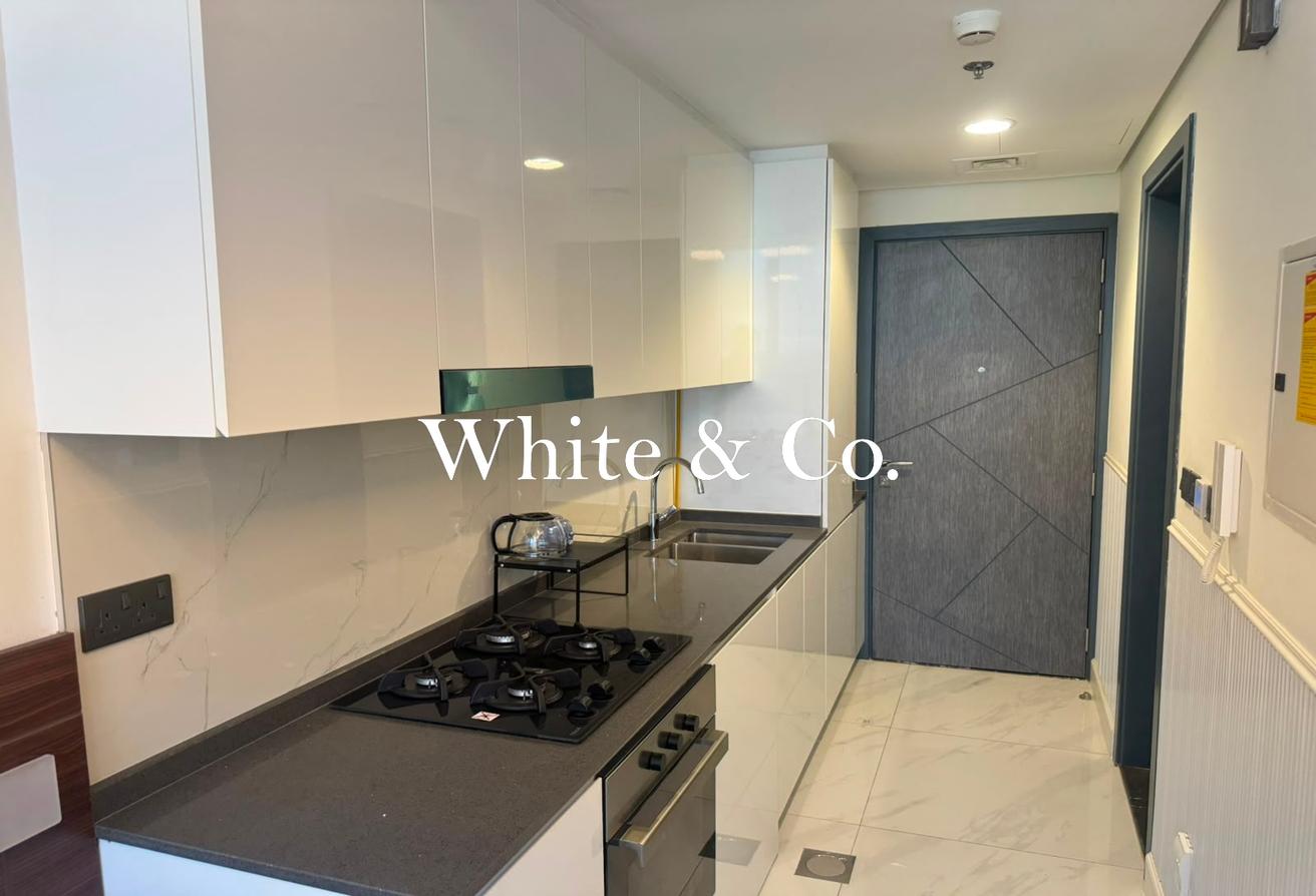 Fully Furnished | Modern | immaculate photo 3
