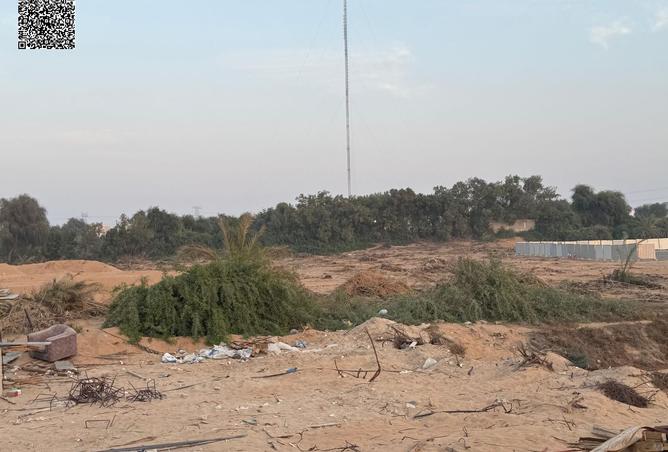 16039441 - صورة العقار 3