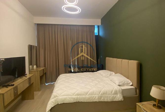 16243761 - Property Image 3