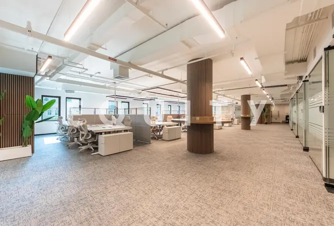 164570398 - Property Image 3