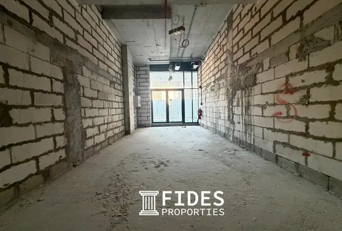 164603811 - Property Image 3