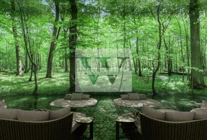 138782444 - Property Image 2