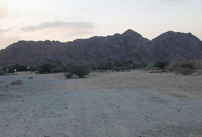 103240471 - صورة العقار 3