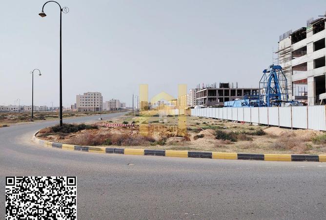 79858371 - Property Image 3