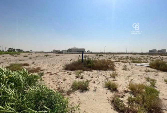 16306953 - صورة العقار 3