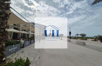 Apartment - 3 Bedrooms - 4 Bathrooms for rent in Saadiyat Lagoons - Saadiyat Island - Abu Dhabi