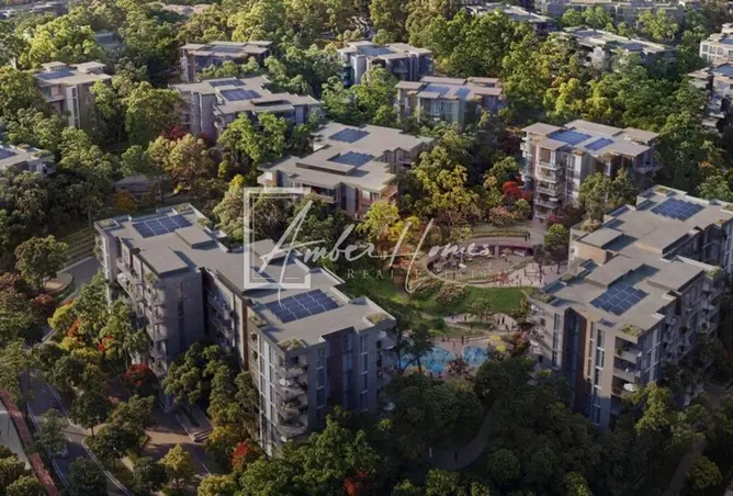 145519761 - Property Image 2