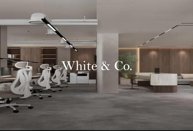 149552800 - Property Image 3