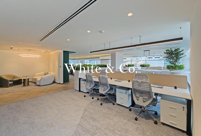 116815841 - Property Image 2
