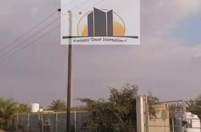 Farm - Studio for sale in Al Ain Tower - Khalidiya Street - Al Khalidiya - Abu Dhabi