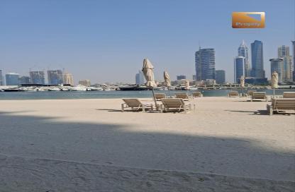 شقة - 2 - 2 للايجار في برج Sunrise Bay 1 - سانرايز باي - إعمار بيتشفرونت - دبي هاربور - دبي