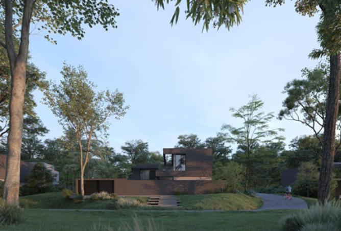 16324838 - Property Image 3