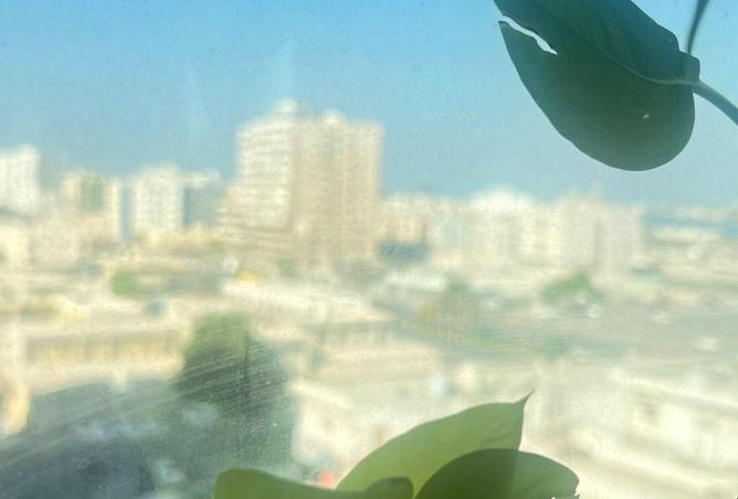 55757684 - Property Image 3