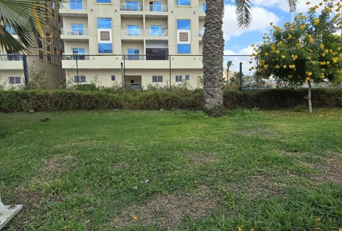 113254523 - Property Image 2