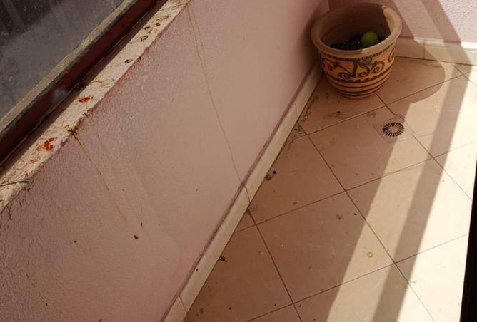 84904795 - صورة العقار 2