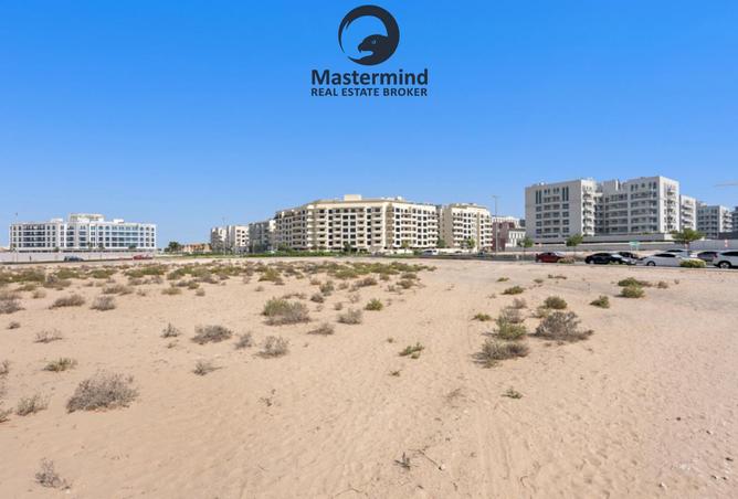 15968257 - Property Image 3