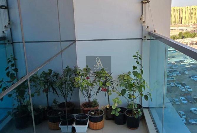 16154395 - Property Image 3