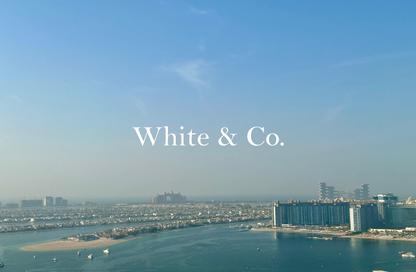 شقة - 1 - 1 للبيع في برج Marina Vista 2 - مارينا فيستا - إعمار بيتشفرونت - دبي هاربور - دبي
