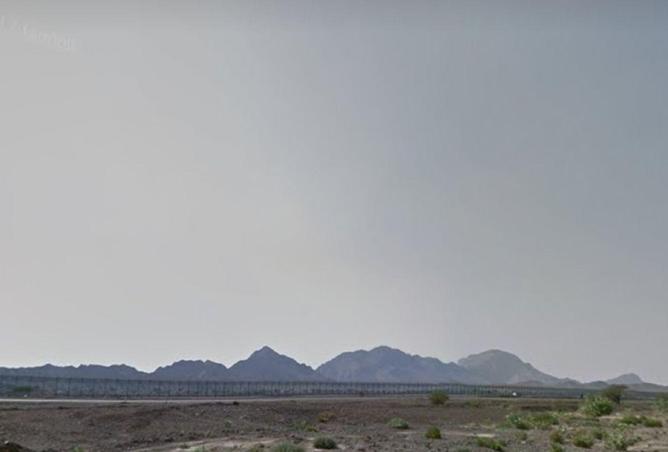 80247873 - صورة العقار 3