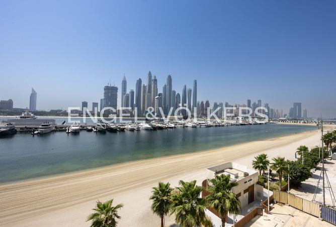 125648787 - Property Image 2