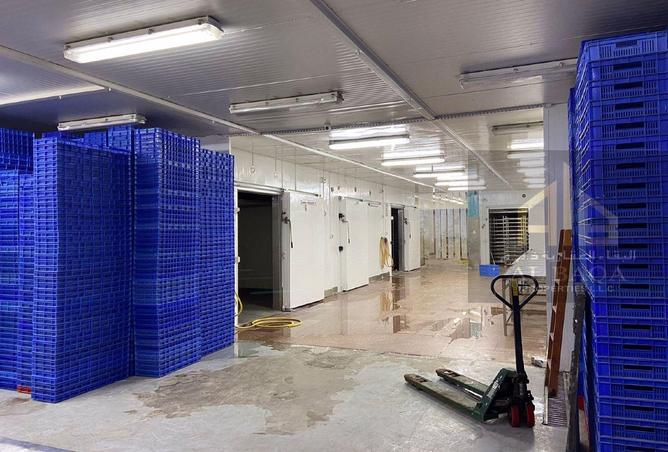 58172284 - Property Main Image