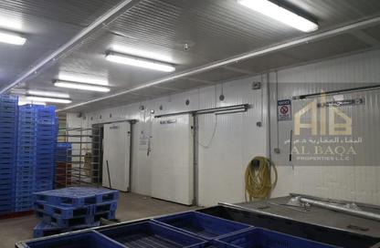 Warehouse - Studio - 7+ Bathrooms for sale in Al Jurf Industrial 2 - Al Jurf Industrial - Ajman