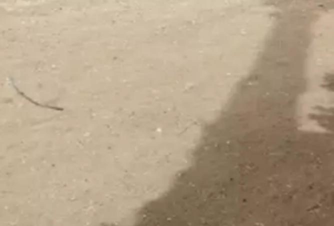 16273392 - Property Image 3