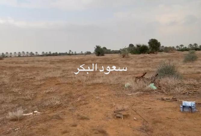 15965727 - صورة العقار 3