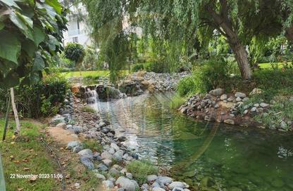 Villa - 5 Bedrooms - 7 Bathrooms for rent in Chorisia 1 Villas - Al Barari - Dubai