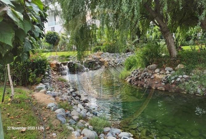 63669180 - Property Image 2