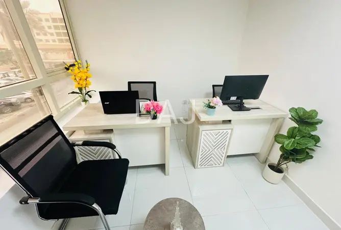 146425177 - Property Image 3