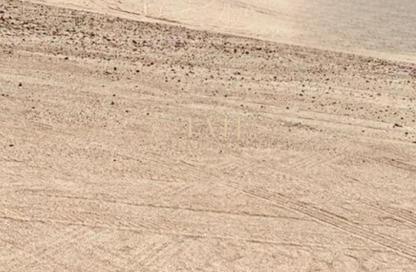 Land - Studio for sale in Jebel Ali Hills - Jebel Ali - Dubai