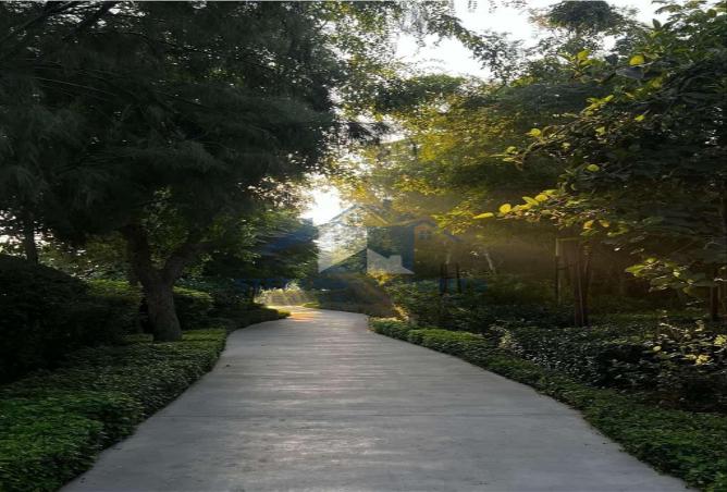 61683943 - صورة العقار 3