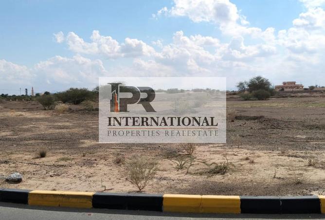 16036783 - صورة العقار 3