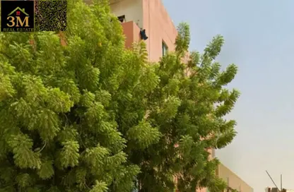 مجمعات للبيع - استوديو - 8 حمامات للبيع في عجمان الصناعية 1 - المنطقة الصناعية - عجمان