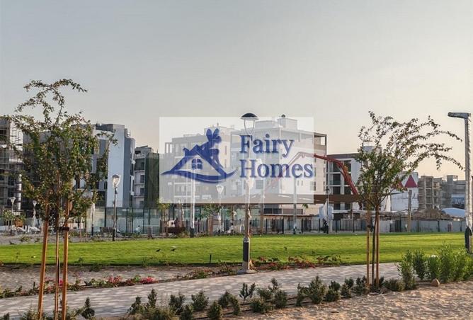 74251420 - Property Image 3