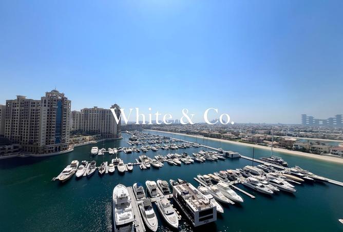103680905 - Property Image 3
