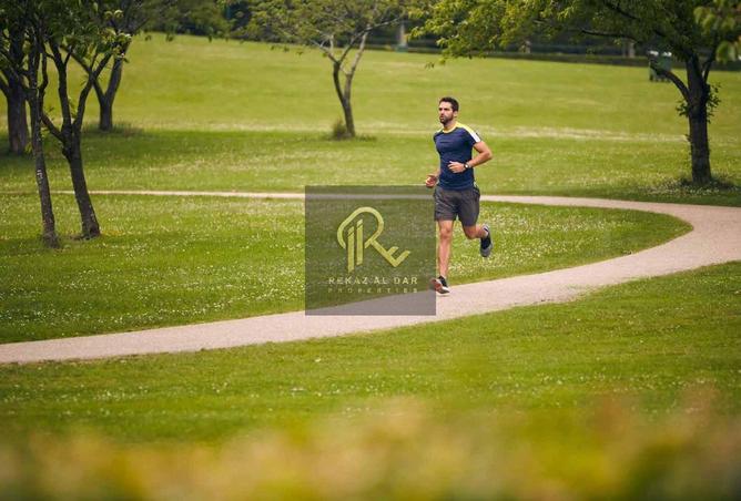 16290381 - Property Image 3