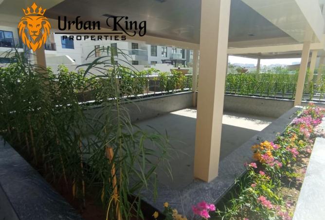 16206866 - صورة العقار 2