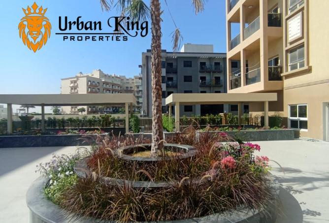 16206866 - صورة العقار 3